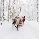 Reindeer Sleigh Ride and Farm Experience from Rovaniemi - What to Expect from the Itinerary