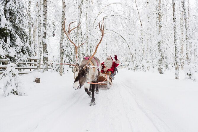 Reindeer Sleigh Ride and Farm Experience from Rovaniemi - What to Expect from the Itinerary