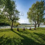 Relax and nature: Yoga lesson on the shore of the lake with picnic - Who Would Love This Tour?