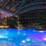 Relax 'n Wellness at Thermal Spa Bucharest (Full Access+Transfer) - The Experience: A Deep Dive