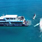 Remote K'gari (Fraser Island) & Whale Experience - In-Depth Review: Why This Tour Deserves Your Attention
