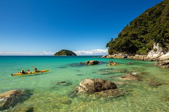 Remote Marine Reserve - Guided Kayaking - New Zealand - The Sum Up: Why This Tour is a Solid Choice