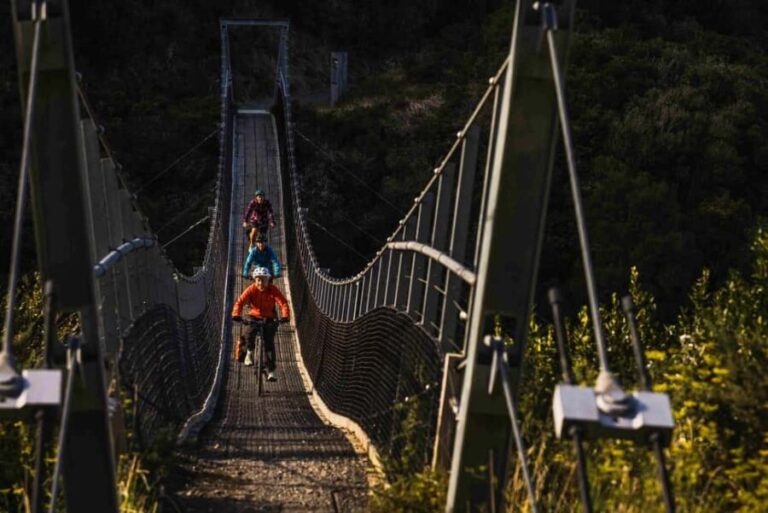Remutaka Rail Trail eBike Shore Excursion for Cruise Ships - Who Will Love This Tour?