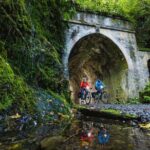 Remutaka Rail Trail Explorer - eBike Cruise Ship Shore Excursion - Who Would Love This Tour?