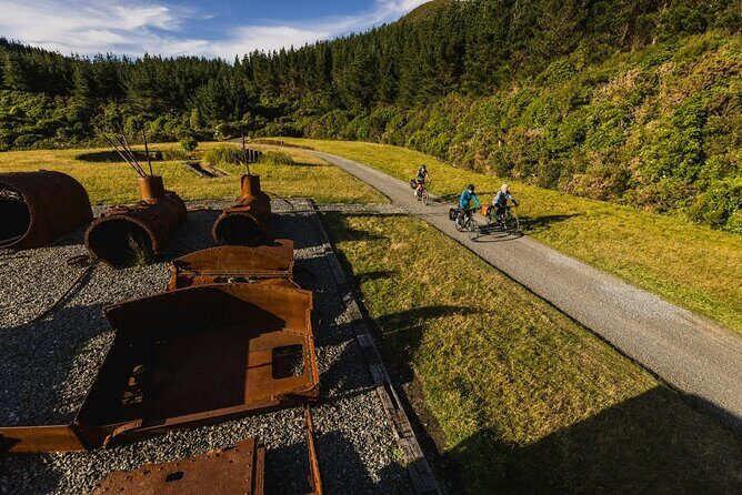 Remutaka Rail Trail Mountain Bike Explorer Cycle Tour - Highlights Along the Trail