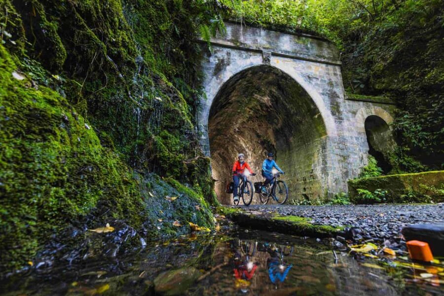 Remutaka Rail Trail Mountain Bike Explorer - What Makes This Tour Stand Out?