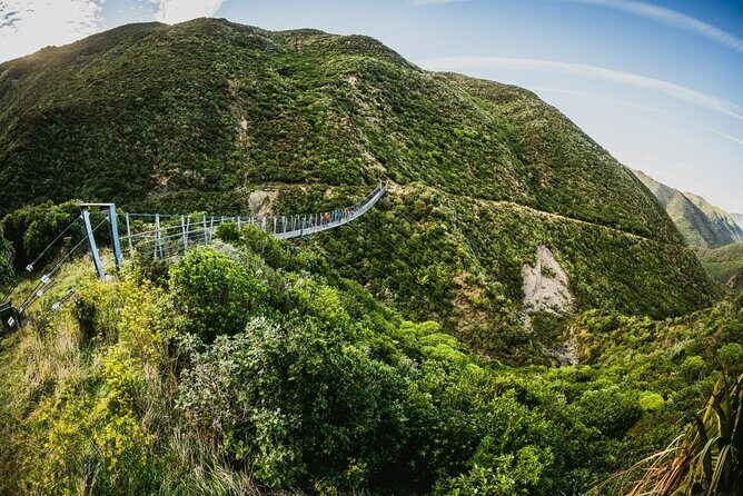 Remutaka Rail Trail- Wellington eBike Cruise Ship Shore Excursion - FAQs