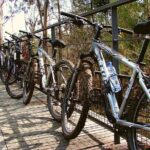Rent Bikes / E-Bikes - The Sum Up: Is This Bike Rental Right for You?