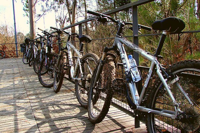 Rent Bikes / E-Bikes - The Sum Up: Is This Bike Rental Right for You?