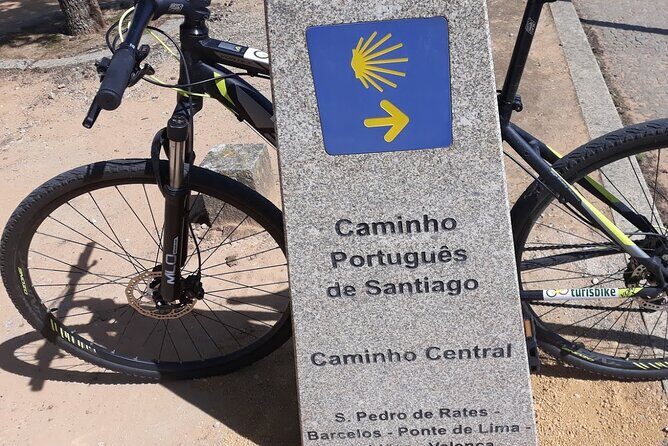 Rent mountain bike for bike path old railway to Famalicão - What Makes This Tour a Good Value?