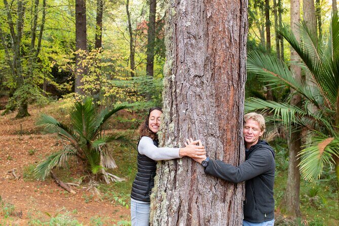 Rere Falls & Eastwoodhill Arboretum Tour with Refreshments - Practical Details and Tips