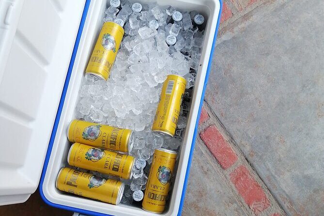 Reserve Cabo Shuttle - SJD Airport - Final Key Points to Consider