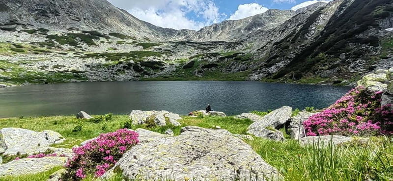 Retezat National Park: Full day hike from Cluj Napoca - Who Should Consider This Tour?