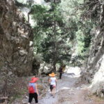 Rethymno: Imbros Gorge and Frangokastello Beach Hiking Tour - A Detailed Look at the Tour Experience