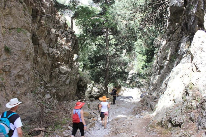 Rethymno: Imbros Gorge and Frangokastello Beach Hiking Tour - A Detailed Look at the Tour Experience