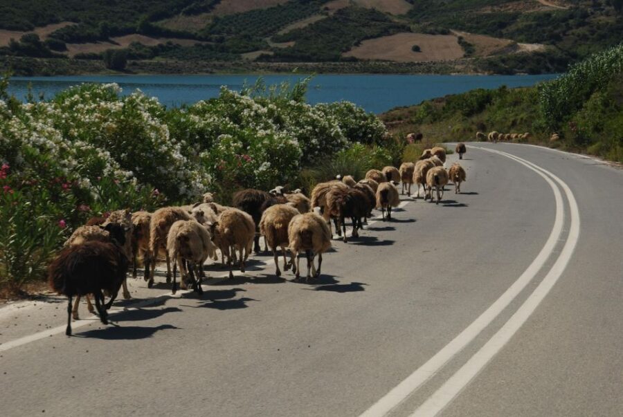 Rethymno | Safari Tour in Private - Transportation and Practical Details