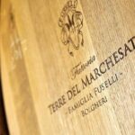 Retrospettiva di Marchesale Wine Tasting and Tour in Bolgheri - Who Will Love This Tour?