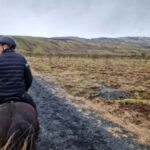 Reykjadalur: Horseback Riding Tour for Families & Beginners - Authentic Experiences and Real Traveler Feedback