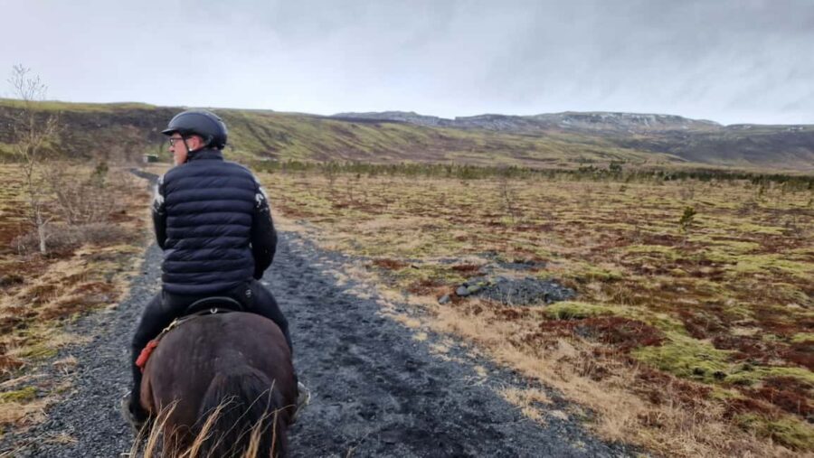 Reykjadalur: Horseback Riding Tour for Families & Beginners