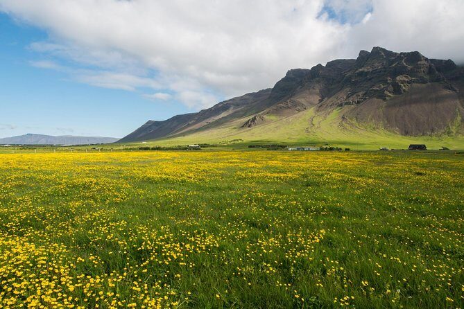 Reykjanes peninsula - An In-Depth Look at the Reykjanes Peninsula Tour