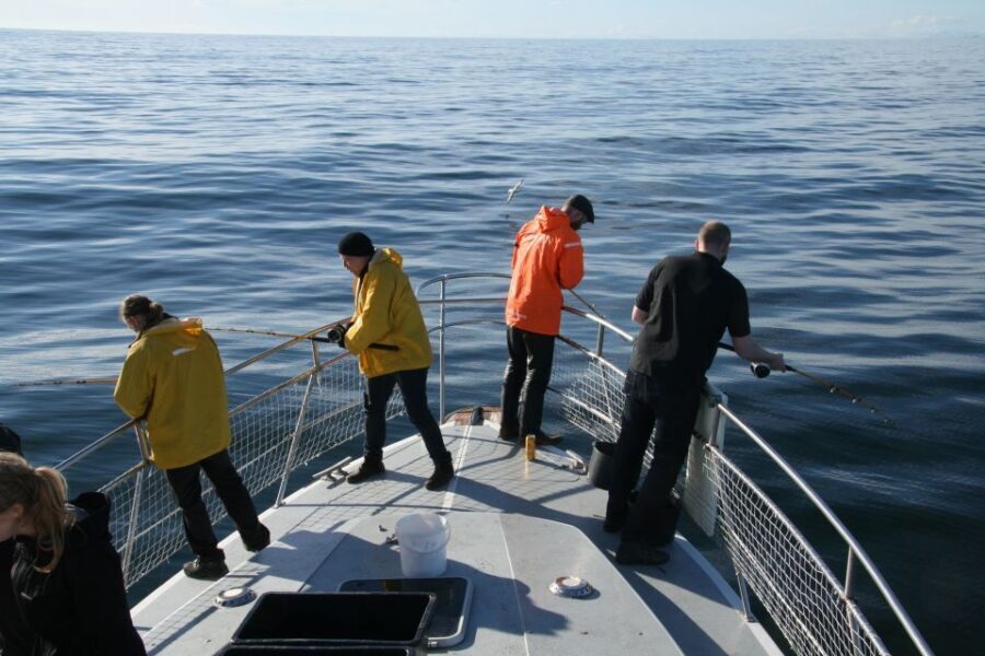 Reykjavik: 3-Hour Sea Angling Gourmet Experience Tour - A Deep Dive into the Reykjavik Sea Angling Tour