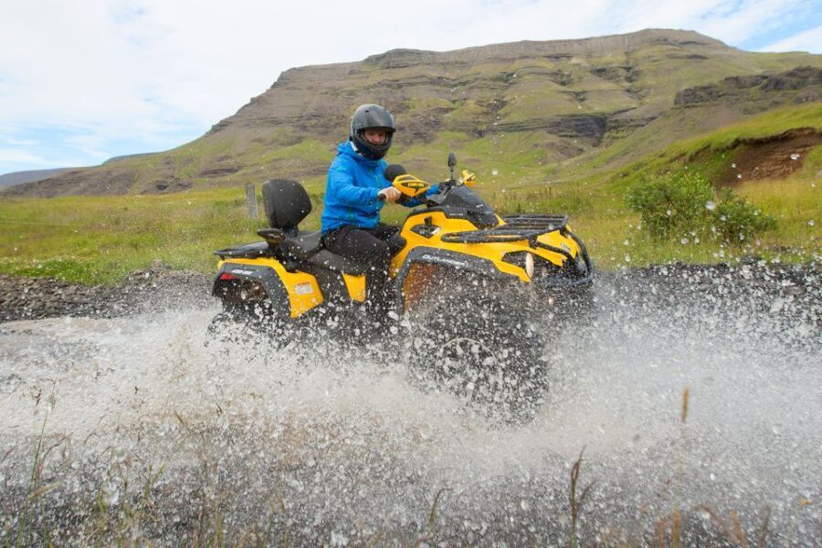 Reykjavik: ATV Ride & Whale Watching Boat Tour - Authentic Experiences and Traveler Insights
