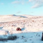 Reykjavik: Buggy Safari Tour with Hotel Transfers - Who Will Love This Tour?