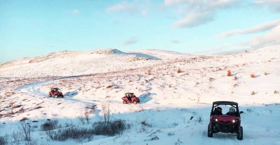 Reykjavik: Buggy Safari Tour with Hotel Transfers - Who Will Love This Tour?