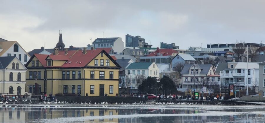 Reykjavik City private tour: Hallgrímskirkja, Perlan & More! - What Does the Tour Mean for You?