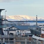 Reykjavik Food Tour - Old Harbor Walking Tour - Final Thoughts