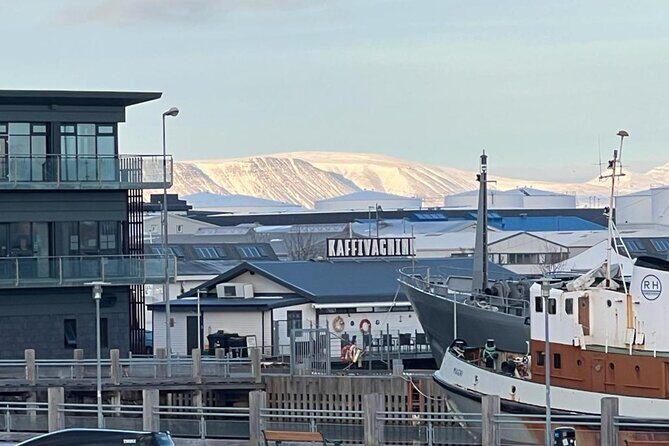Reykjavik Food Tour - Old Harbor Walking Tour - Final Thoughts