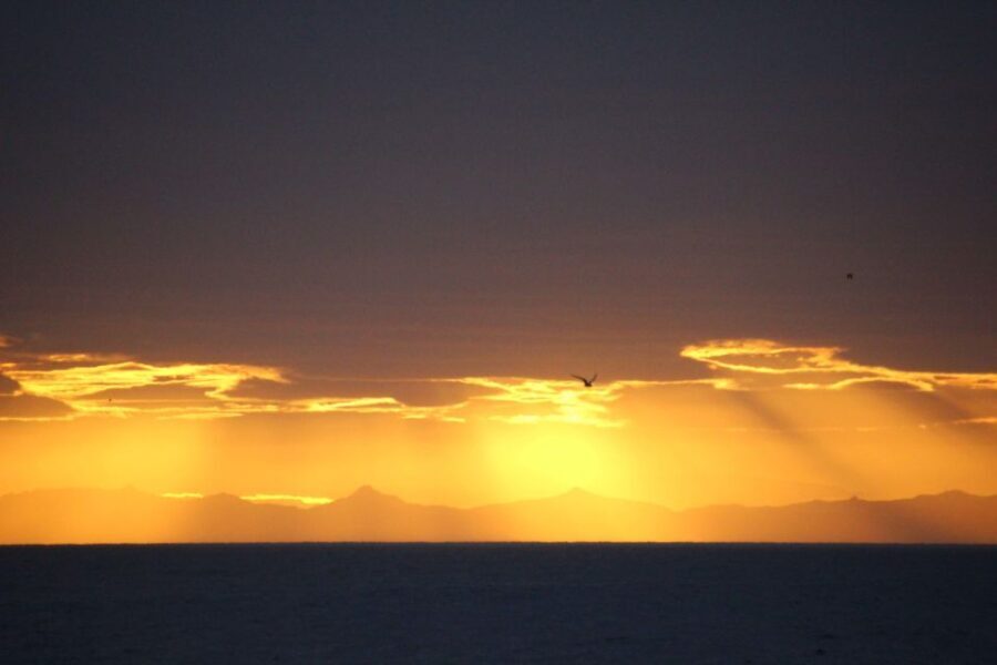 Reykjavík: Midnight Sun Whale Watching Cruise - The Sum Up: Who Should Take This Tour?
