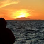 Reykjavik: Midnight Sun Whale Watching Tour - What to Expect on Your Whale Watching Trip
