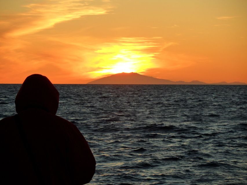 Reykjavik: Midnight Sun Whale Watching Tour - What to Expect on Your Whale Watching Trip