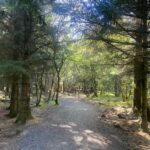 Reykjavik: Nature Loop Bike Tour from Nauthólsvík Beach - Who Should Consider This Tour?