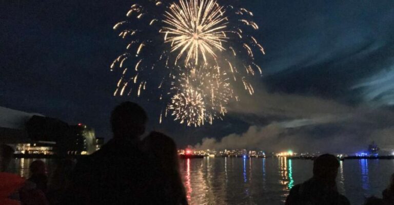 Reykjavik: New Year's Eve Fireworks Cruise - The Sum Up