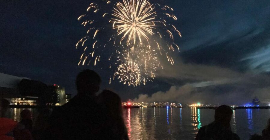 Reykjavik: New Year's Eve Fireworks Cruise - The Sum Up