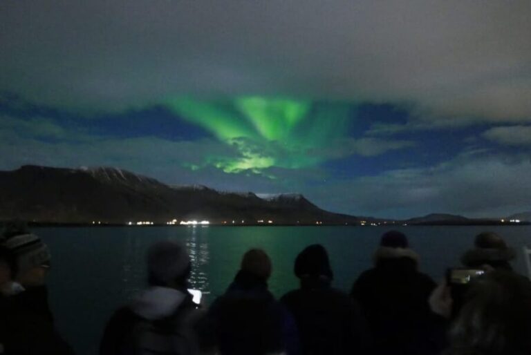 Reykjavik: Northern Lights Guided Boat Tour with Photos - Who Should Consider This Tour?