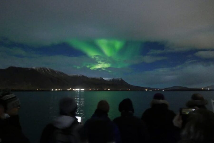 Reykjavik: Northern Lights Guided Boat Tour with Photos - Who Should Consider This Tour?