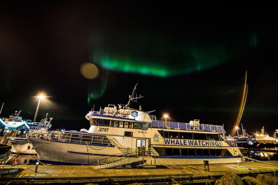 Reykjavik: Northern Lights Guided Boat Tour - Exploring the Experience in Detail