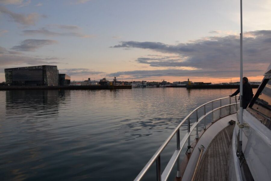 Reykjavik: Northern Lights Motor Yacht Cruise - A Closer Look at the Itinerary and Experience