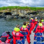 Reykjavik: Puffin Watching Tour - A Detailed Look at the Reykjavik Puffin Watching Tour