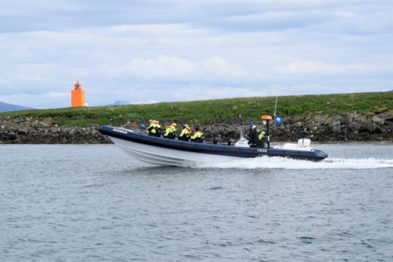 Reykjavik: Puffin Watching Tour by RIB Speedboat - What You Can Expect During the Tour