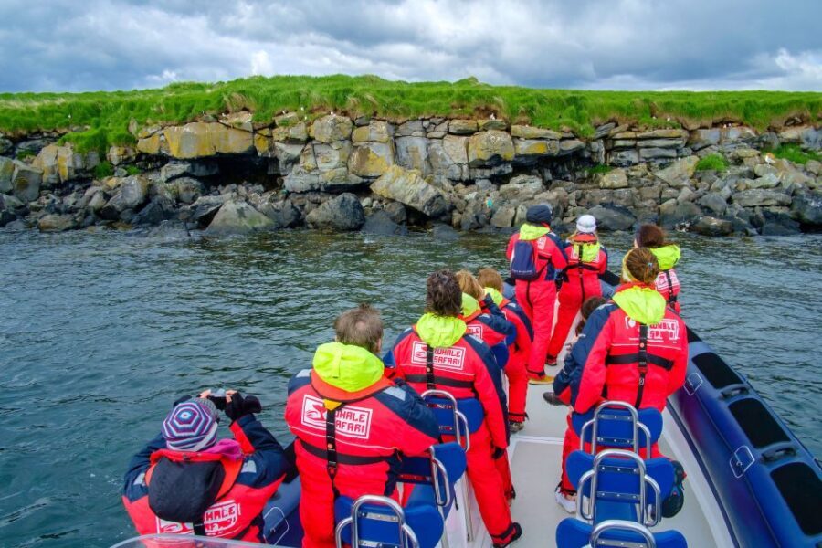 Reykjavik: Puffin Watching Tour - A Detailed Look at the Reykjavik Puffin Watching Tour