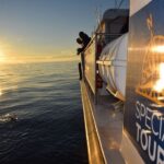 Reykjavik: Sea Fishing Boat Tour & BBQ with the Day's Catch - A Deep Dive into the Reykjavik Sea Fishing & BBQ Tour