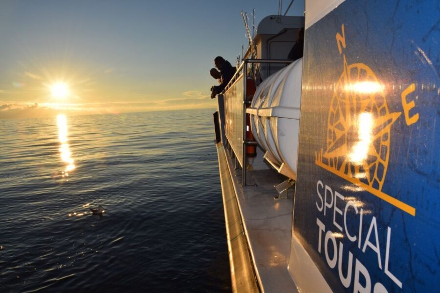 Reykjavik: Sea Fishing Boat Tour & BBQ with the Day's Catch - A Deep Dive into the Reykjavik Sea Fishing & BBQ Tour