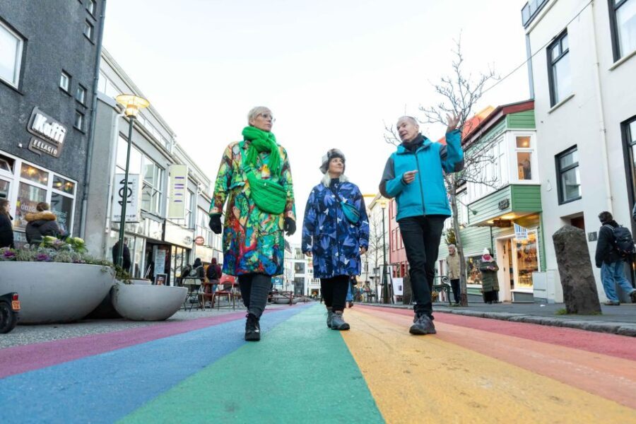 Reykjavik: Sightseeing Walking Tour with a Viking - Who Should Consider This Tour?