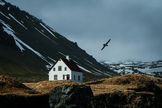 Reykjavik: Snaefellsnes National Park Small Group Trip - Who Will Love This Tour?