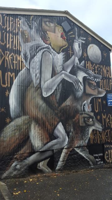 Reykjavik: Street Art Walking Tour - Exploring Reykjaviks Street Art: A Deep Dive
