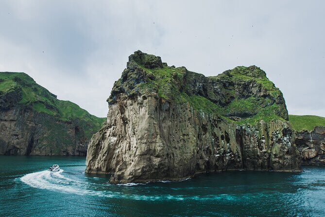 Reykjavik - Westman Islands (Bus transfer to Landeyjahöfn) - Why This Tour Works Well